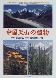 中国天山の植物