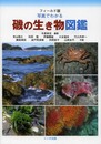 写真でわかる磯の生き物図鑑