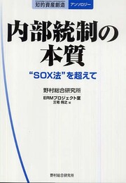 内部統制の本質: “SOX法”を超えて (知的資産創造アンソロジー)