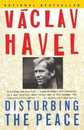 Disturbing the Peace: A Conversation with Karel Huizdala
