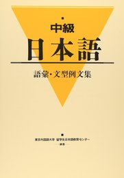 中級日本語文型例文集