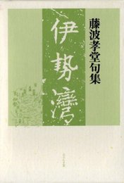 伊勢湾: 藤波孝堂句集