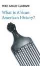 What is African American History? (What is History?)