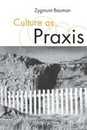 Culture as Praxis (Published in association with Theory Culture & Society)