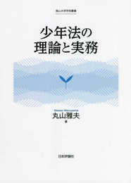 少年法の理論と実務 (南山大学学術叢書)