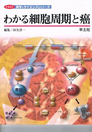 わかる細胞周期と癌 (イラスト医学&サイエンスシリーズ)