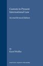 Custom in Present International Law (Developments in International Law 14)