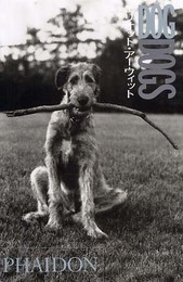 DOG DOGS