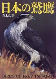 日本の鷲鷹
