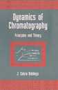 Dynamics of Chromatography: Principles and Theory (Chromatographic Science 1)