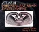 Atlas of Prenatal Rat Brain Development