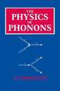 The Physics of Phonons