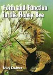 Form and Function in the Honey Bee