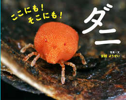 ここにも! そこにも! ダニ (ふしぎいっぱい写真絵本)