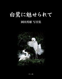 白鷺に魅せられて ~岡田秀雄 写真集~