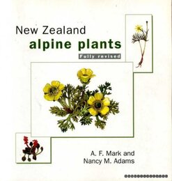 New Zealand Alpine Plants