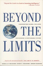 Beyond the Limits: Confronting Global Collapse Envisioning a Sustainable Future