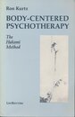 Body-Centered Psychotherapy: The Hakomi Method : The Integrated Use of Mindfulness Nonviolence and the Body