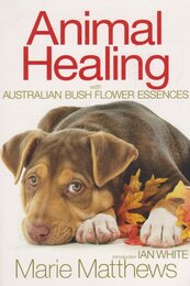 Animal Healing with Australian Bush Flower Essences