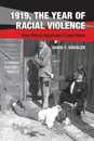 1919 The Year of Racial Violence: How African Americans Fought Back