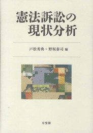 憲法訴訟の現状分析