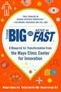 Think Big Start Small Move Fast: A Blueprint for Transformation from the Mayo Clinic Center for Innovation