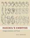 Haeckel's Embryos: Images Evolution and Fraud