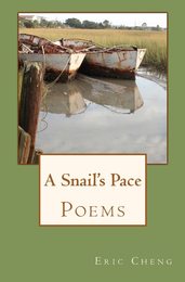 A Snail's Pace