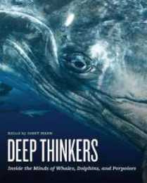 Deep Thinkers: Inside the Minds of Whales Dolphins and Porpoises