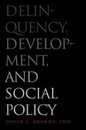 Delinquency Development and Social Policy (Current Perspectives in Psychology)