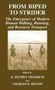 From Biped to Strider: The Emergence of Modern Human Walking Running and Resource Transport