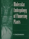 Molecular Embryology of Flowering Plants