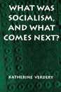 What Was Socialism and What Comes Next? (Princeton Studies in Culture/Power/History)