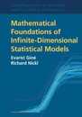 Mathematical Foundations of Infinite-Dimensional Statistical Models (Cambridge Series in Statistical and Probabilistic Mathematics Series Number 40)