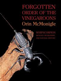 Forgotten Order of the Vinegaroons: Whipscorpion Biology Husbandry and Natural History