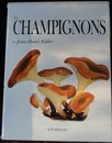 Les Champignons
