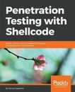 Penetration Testing with Shellcode: Detect exploit and secure network-level and operating system vulnerabilities