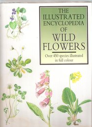 The Illustrated Encyclopedia of Wild Flowers