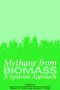 Methane from Biomass: A Systems Approach