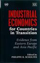 Industrial Economics for Countries in Transition: Evidence from Eastern Europe and Asia Pacific