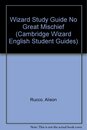 Wizard Study Guide No Great Mischief (Cambridge Wizard English Student Guides)