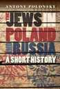 The Jews in Poland and Russia: A Short History (Littman Library of Jewish Civilization)