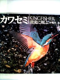 カワセミ: 清流に翔ぶ