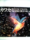 カワセミ: 清流に翔ぶ