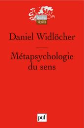 Metapsychologie du sens