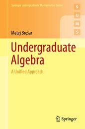Undergraduate Algebra: A Unified Approach (Springer Undergraduate Mathematics Series)