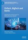FinTech BigTech and Banks: Digitalisation and Its Impact on Banking Business Models (Palgrave Macmillan Studies in Banking and Financial Institutions)