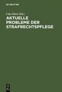 Aktuelle Probleme Der Strafrechtspflege