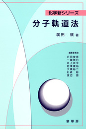 分子軌道法 (化学新シリーズ)