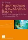 Phaenomenologie und soziologische Theorie: Aufsaetze zur pragmatischen Lebensweltheorie